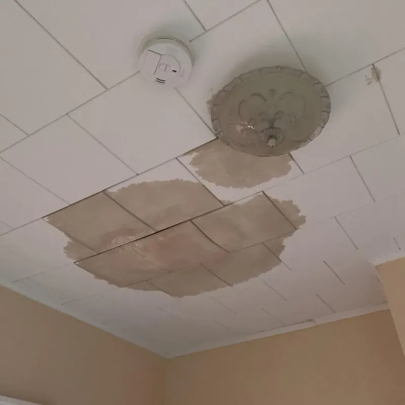 Ceiling Water Damage Repair in Lordstown, OH
