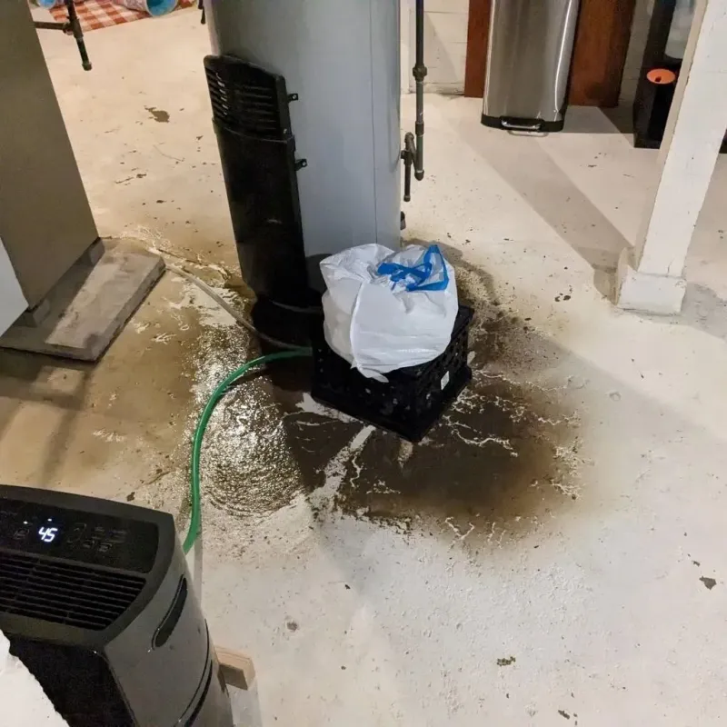 Sewage Backup Cleanup Service in Lordstown, OH